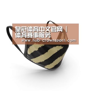 成人布口罩