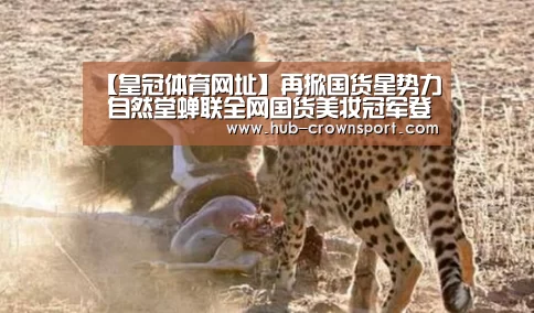 皇冠体育