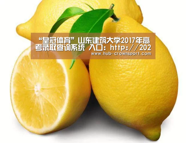 “皇冠体育”山东建筑大学2017年高考录取查询系统 入口：http://202.
