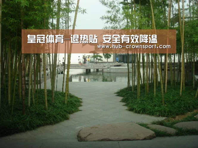 皇冠体育-退热贴 安全有效降温