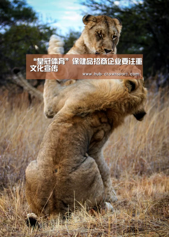 皇冠体育app