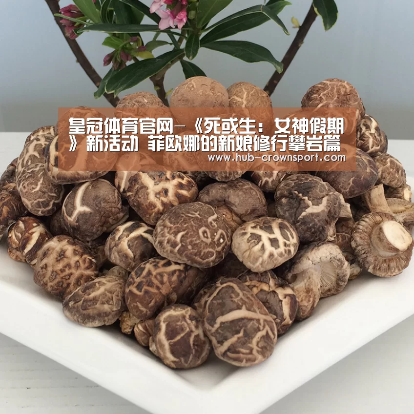 皇冠体育官网-《死或生：女神假期》新活动 菲欧娜的新娘修行攀岩篇