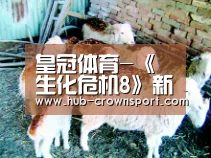 皇冠体育-《生化危机8》新情报:或于2年后发布 更侧重于动作(图3) 皇冠体育app