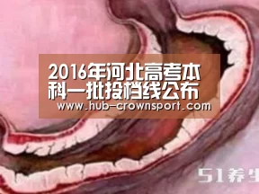 2016年河北高考本科一批投档线公布-皇冠体育app