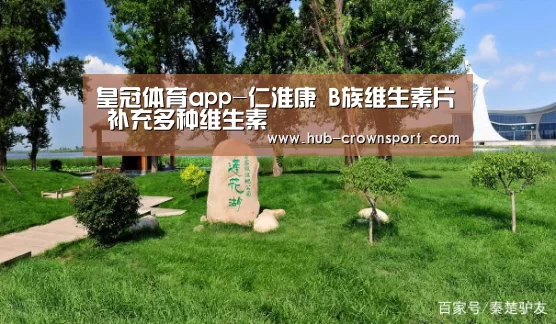皇冠体育app-仁淮康 B族维生素片 补充多种维生素