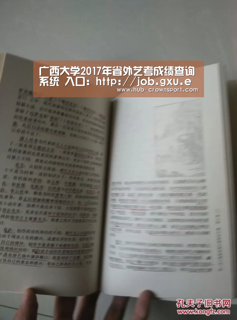 广西大学2017年省外艺考成绩查询系统 入口：http://job.gxu.ed